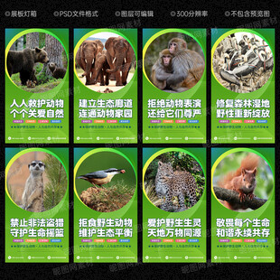 保护野生动物