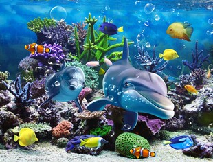海底