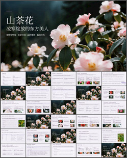 东方美人山茶花主题PPT模板