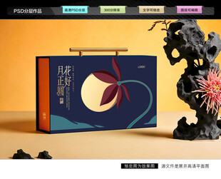 月饼礼盒 中秋包装