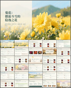 隐逸之花菊花介绍课件ppt
