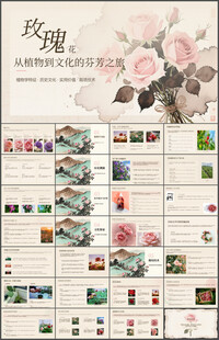 从植物到文化玫瑰花介绍ppt