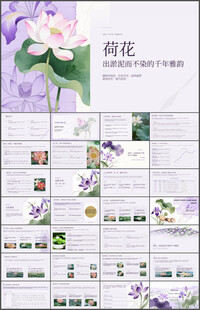 出淤泥而不染荷花主题PPT课件