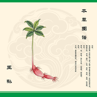 王孙植株图示