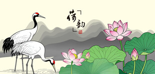 仙鹤白鹤丹顶鹤