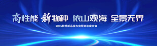 科技感蓝色商务会议背景图