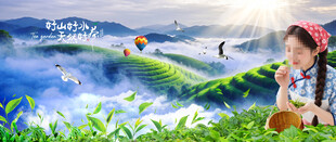 茶山
