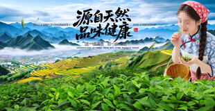 茶园田园