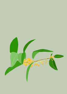 清新桂花枝叶插画