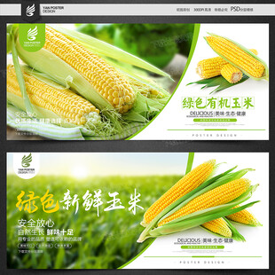 玉米