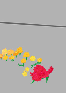 花坛花朵图案