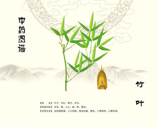 中药竹叶淡竹叶