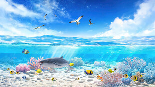 海底世界