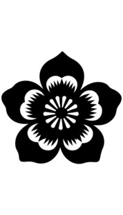 黑白花朵图案