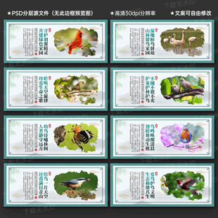保护鸟类