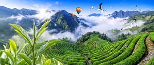 茶山