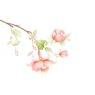 手绘花