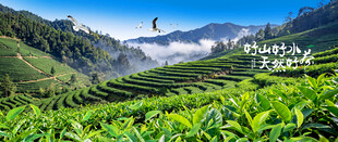 茶山