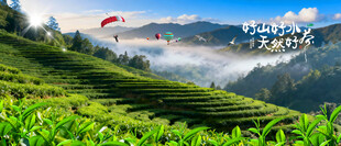 茶山