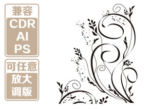 精致花卉藤蔓 矢量