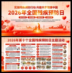 2026年全国残疾预防日展板