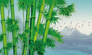 竹林竹子翠竹