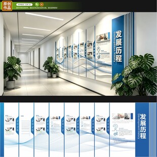 企业发展历程