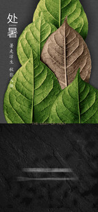 处暑