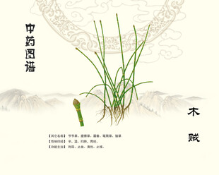 中药木贼接骨草