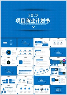 202X项目商业计划书模板