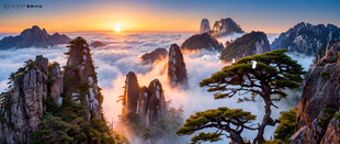 黄山日出云海
