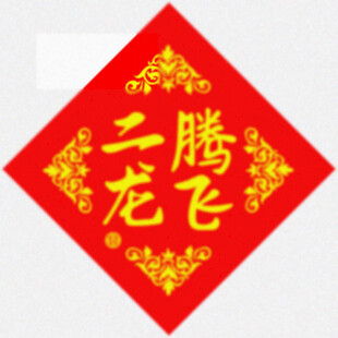 二龙腾飞