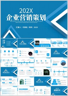202X企业营销策划PPT模板