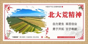 北大荒