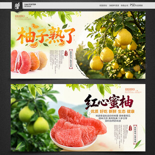 柚子