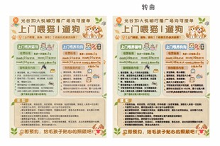 宠物上门喂养