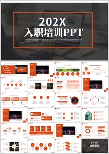 202X入职培训PPT模板