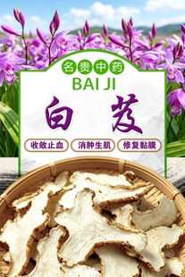 白芨
