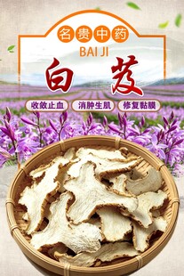 白芨  