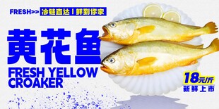 新鲜黄花鱼