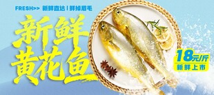 新鲜黄花鱼 
