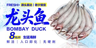 龙头鱼 