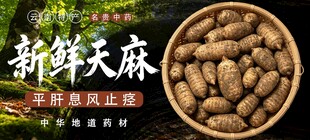新鲜天麻 