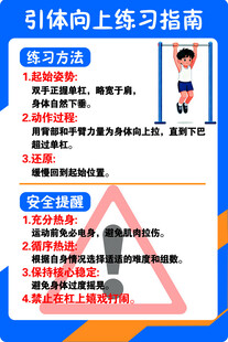 引体向上练习指南