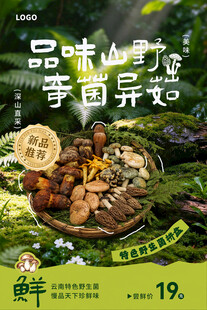 山野菌菇美食宣传海报