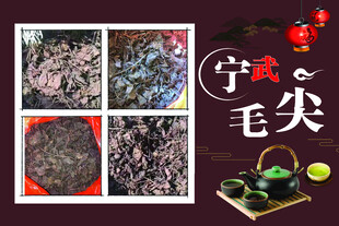 宁武毛尖茶叶宣传图