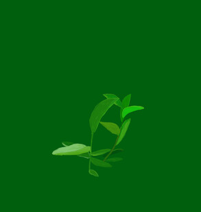 茶叶免扣元素