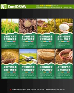 粮食安全海报