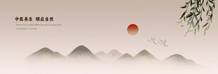 中医养生背景