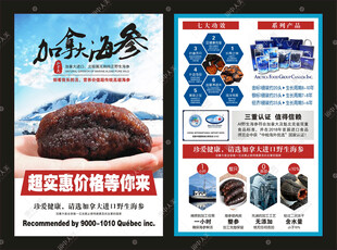 加拿大海参